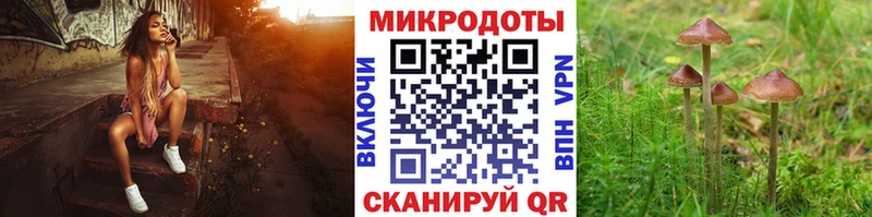 kraken как войти  закладки  Сковородино  Псилоцибиновые грибы ЛСД 